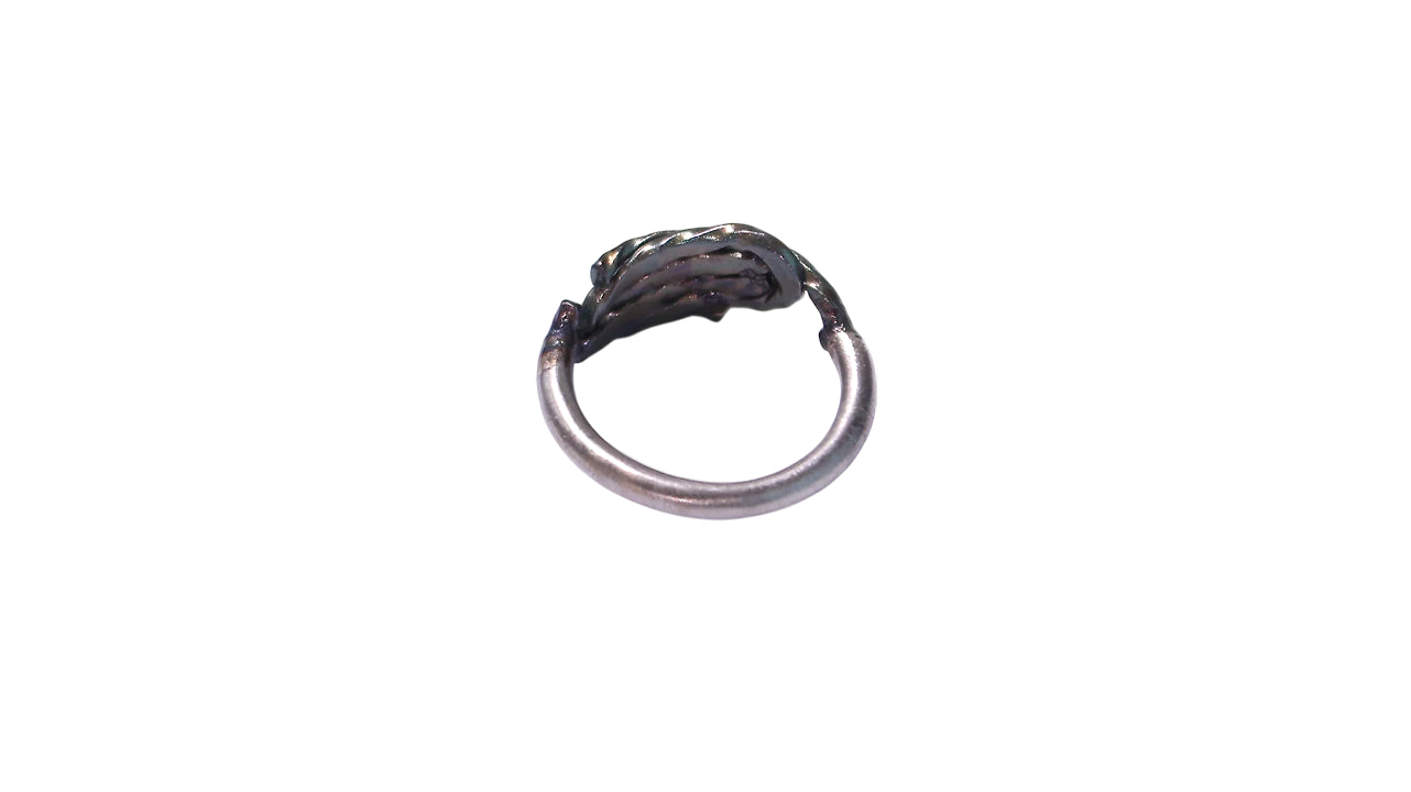 Destroyed Assemblage Ring /LSP