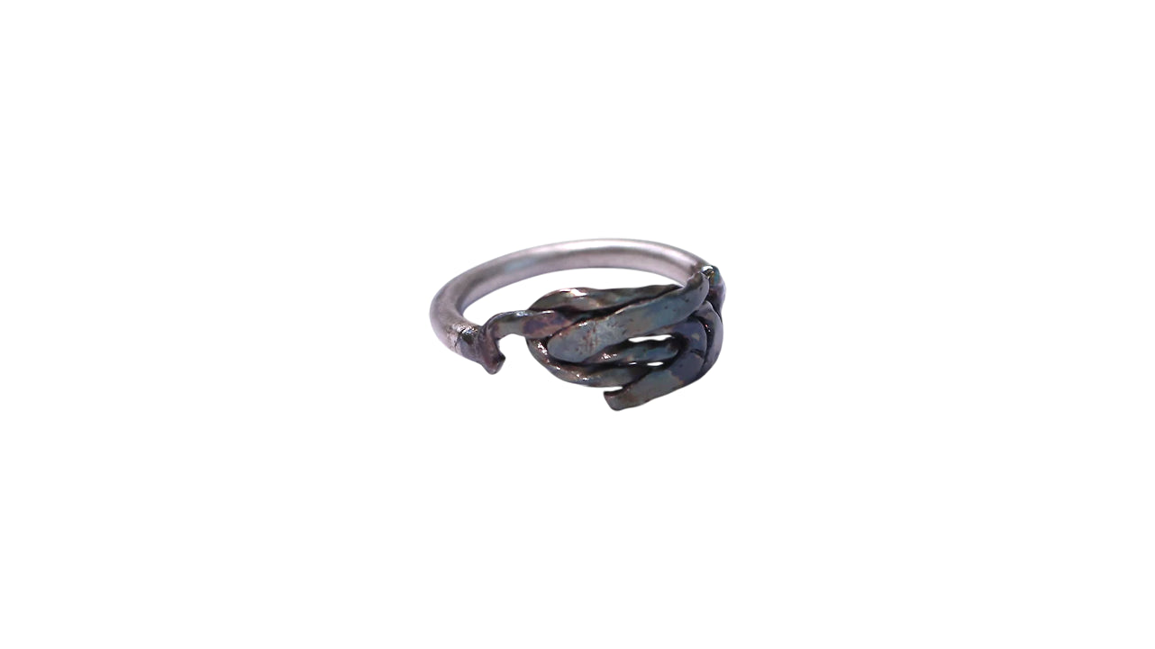 Destroyed Assemblage Ring /LSP