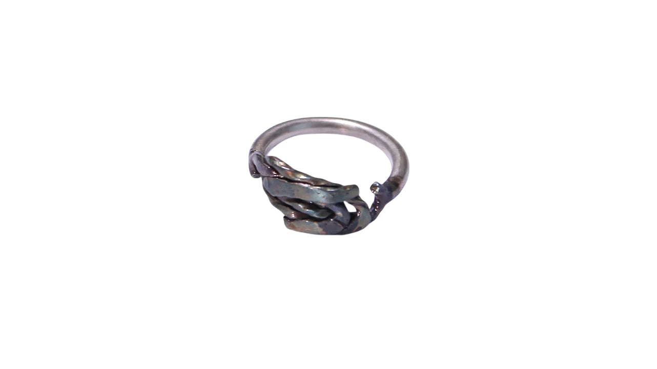Destroyed Assemblage Ring /LSP
